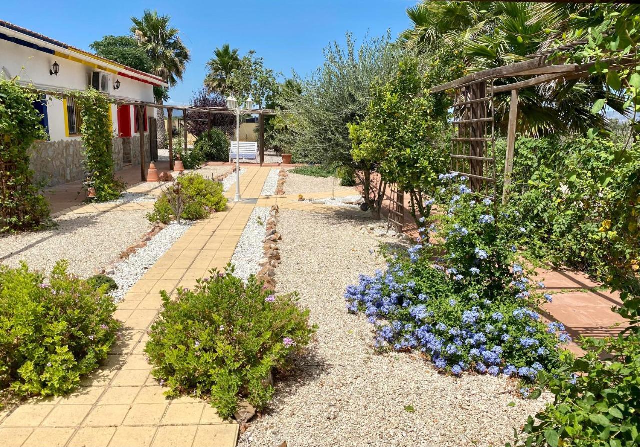 Bed and breakfast Casa Azul Crevillente
